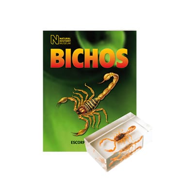 Bichos - Fasciculo #01