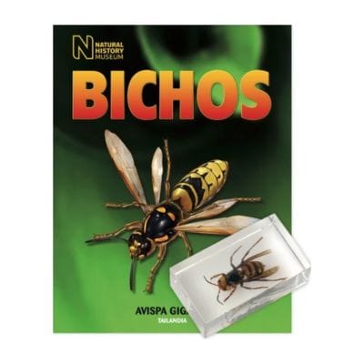 Bichos - Fasciculo #05