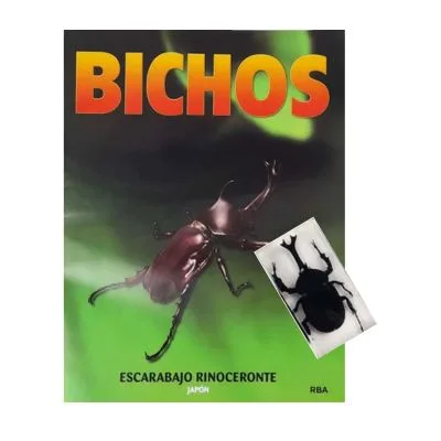 Bichos - Fasciculo #06