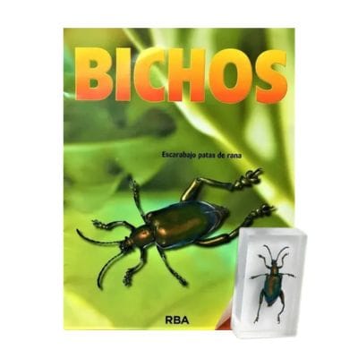 Bichos - Fasciculo #07