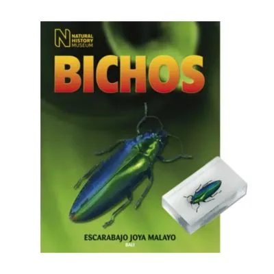 Bichos - Fasciculo #08