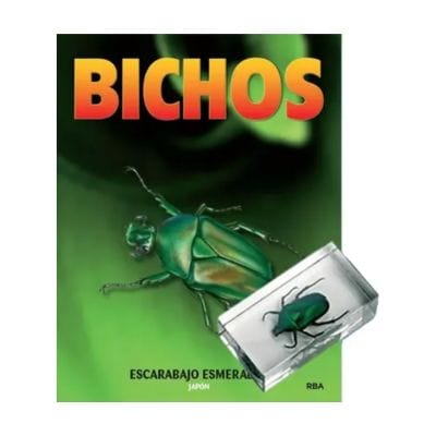 Bichos - Fasciculo #09