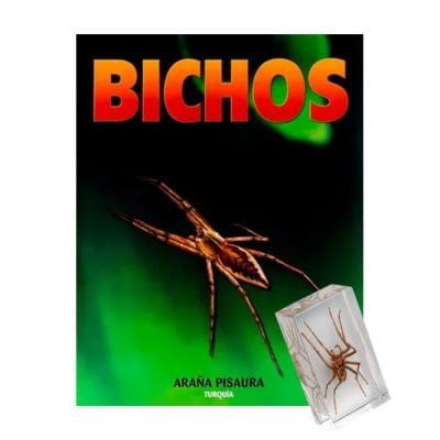 Bichos - Fasciculo #10