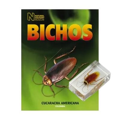 Bichos - Fasciculo #11
