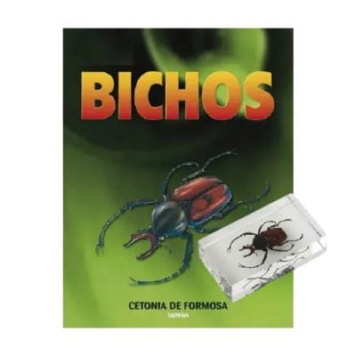 Bichos - Fasciculo #12