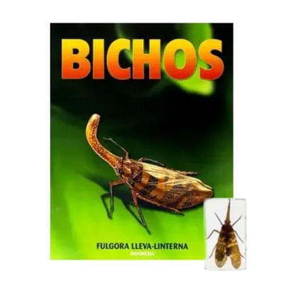 Bichos - Fasciculo #13