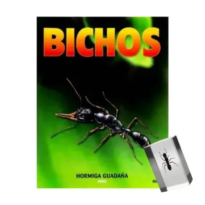 Bichos - Fasciculo #14