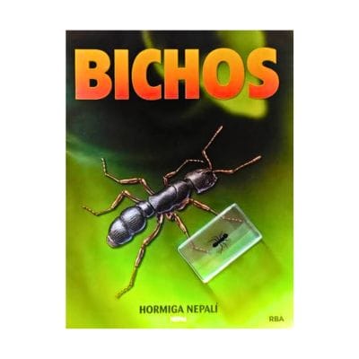 Bichos - Fascículo #18