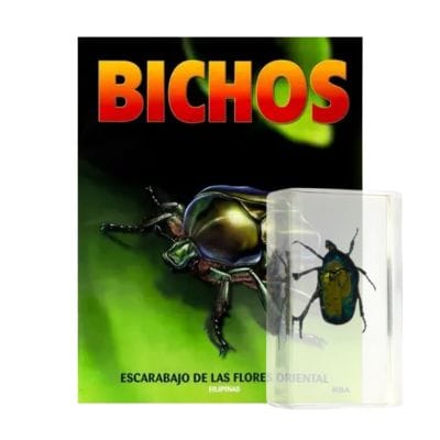 Bichos - Fascículo #19