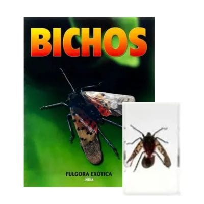 Bichos - Fascículo #20