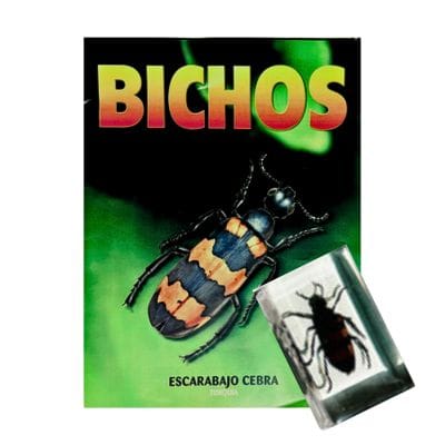 Bichos - Fascículo #21