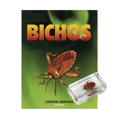 Bichos - Fascículo #23