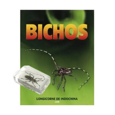 Bichos - Fascículo #24