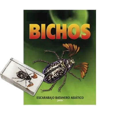 Bichos - Fascículo #26