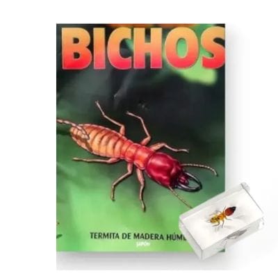 Bichos - Fascículo #27