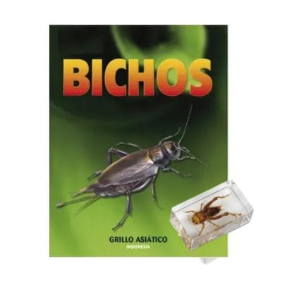 Bichos - Fascículo #28