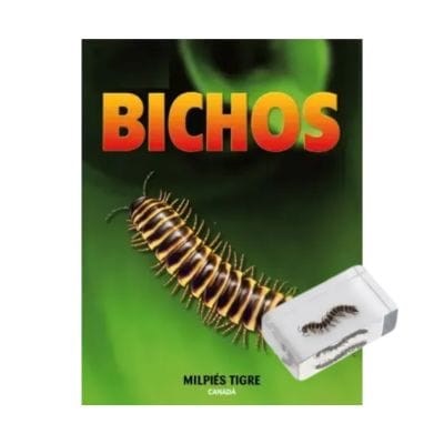 Bichos - Fascículo #29